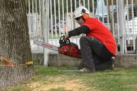 Manutenzione Giardini