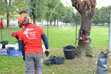 Manutenzione Giardini