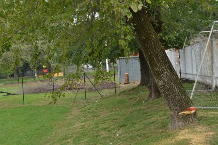 Manutenzione Giardini