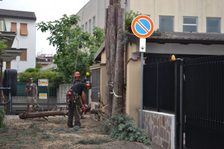 Abbattimenti controllati